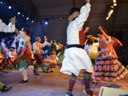 Festival de Folkore en Mula